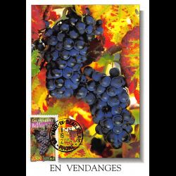 CP MGE - Les vignobles du...