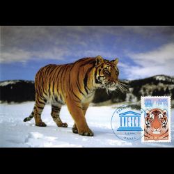 CM CEF - UNESCO, tigre de...