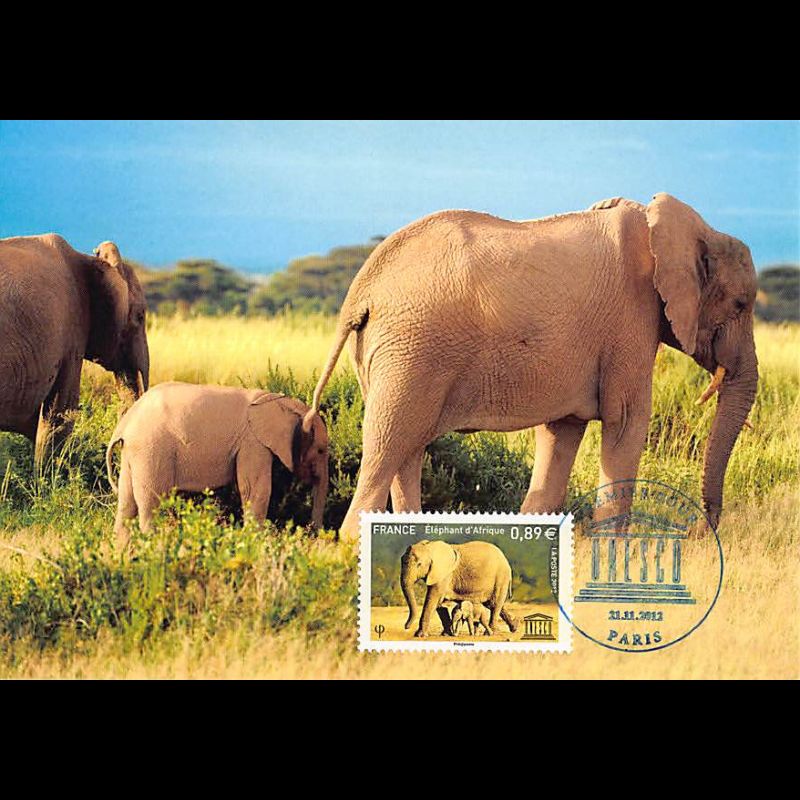 CM - UNESCO Eléphants d’Afrique.