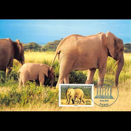 CM - UNESCO Eléphants d’Afrique.