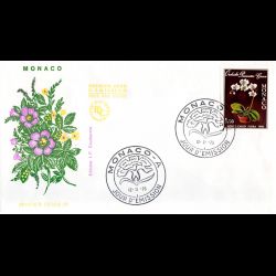 FDC - Monte-Carlo -...