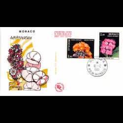 FDC - Plantes du jardin...