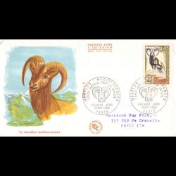 FDC JF v2 - Mouflon...