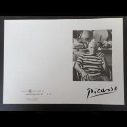 Encart E257 - Picasso,...