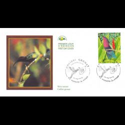 CEF - Colibri grenat -...